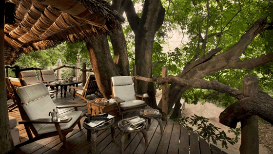 Lake Manyara Tree Lodge